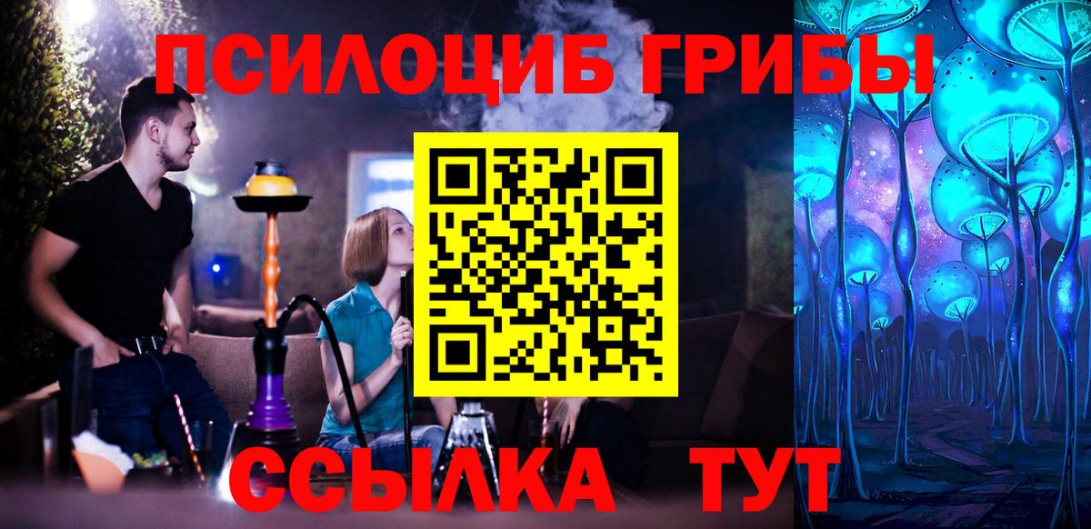 Казань  Галлюциногенные грибы прущие грибы  Вход с VPN 