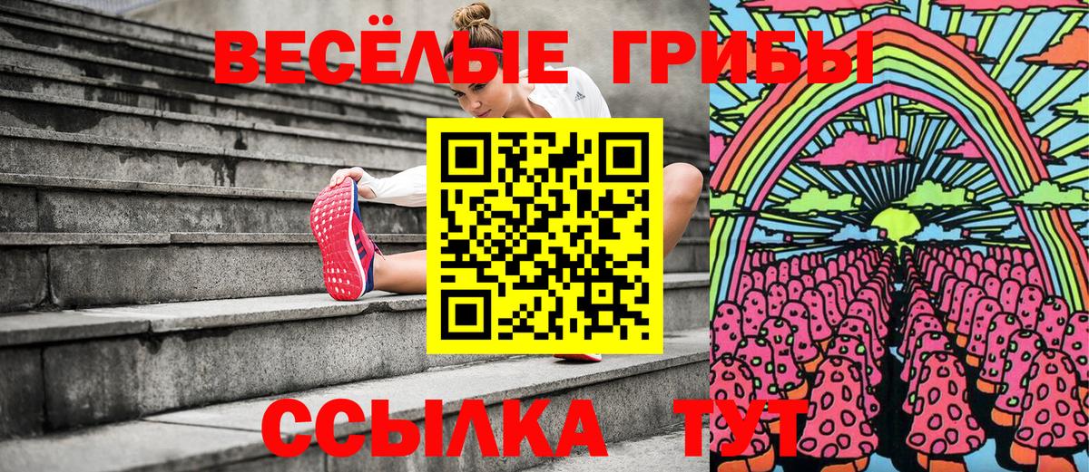 Псилоцибиновые грибы мухоморы Казань